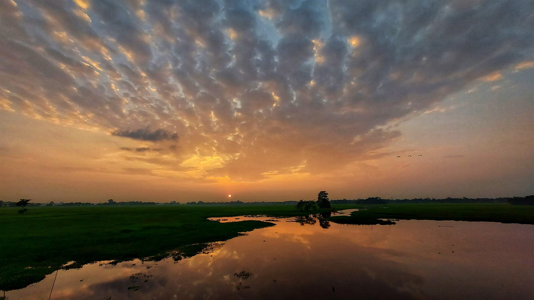 Sunset sky reflected in calm floodplain water beside green grassland
